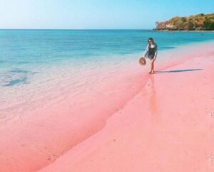 pantai pink