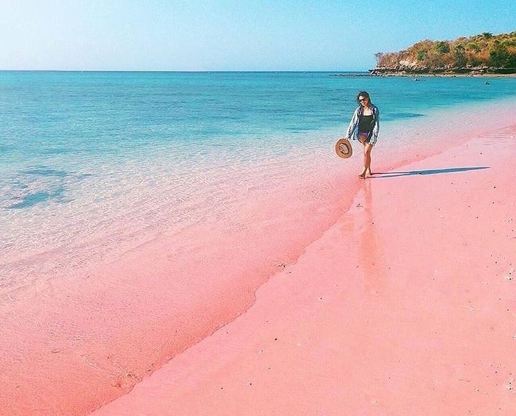 Pantai Pink di Lombok: Surga dengan Pasir Pink