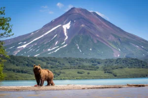 Kamchatka