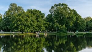 Vondelpark: 