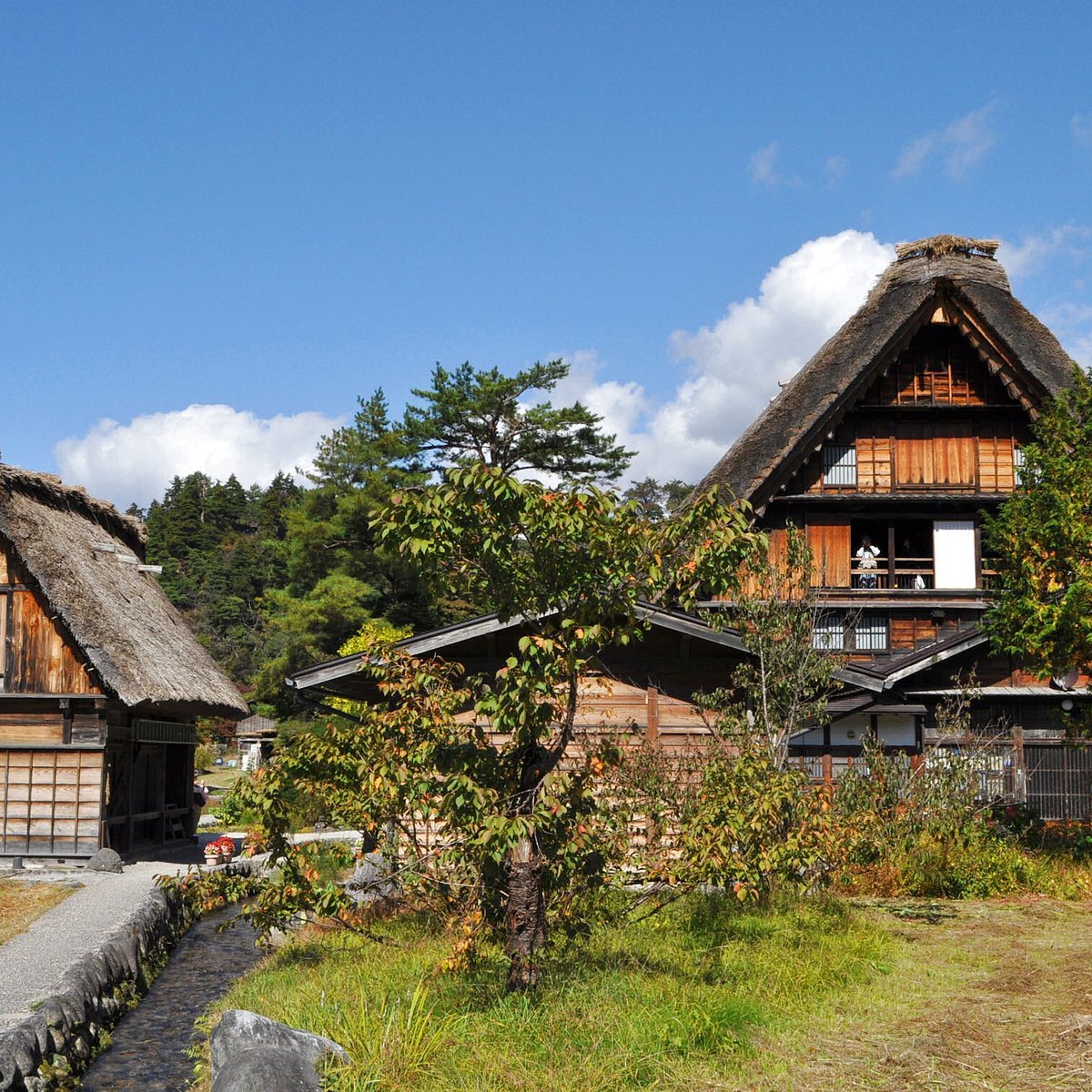 Shirakawago: Desa Tradisional dengan Rumah-rumah Atap Jerami